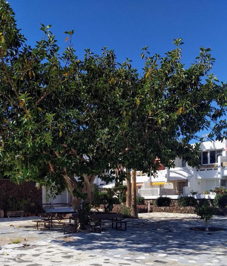 Oasis Marina Apartament Costa Del Silencio Εξωτερικό φωτογραφία